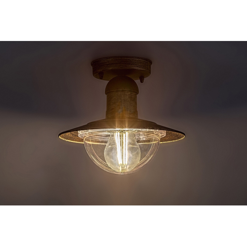 Brilagi - Zunanja stropna svetilka MOLDE 1xE27/60W IP44 bronasta/patina