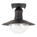Brilagi - Zunanja stropna svetilka MOLDE 1xE27/60W IP44 črna