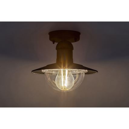 Brilagi - Zunanja stropna svetilka MOLDE 1xE27/60W IP44 črna