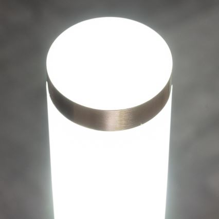 BRILAGI - Zunanja svetilka s senzorjem gibanja ELIA 1xE27/20W/230V IP44 50 cm matni krom