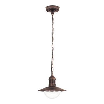 Brilagi - Zunanja viseča svetilka MOLDE 1xE27/60W IP44 bronza/patina