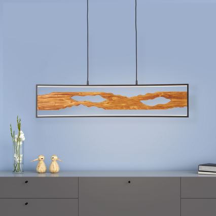 Brilliant - LED Lestenec na vrvici CHAUMONT LED/20W/230V bor