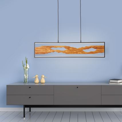 Brilliant - LED Lestenec na vrvici CHAUMONT LED/20W/230V bor