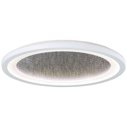 Brilliant - LED RGBW Zatemnitvena stropna svetilka TANIDA LED/22W/230V 3000-6500K+ Daljinski upravljalnik