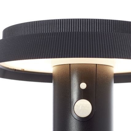 Brilliant - LED Solarna svetilka s senzorjem ALVERO LED/4W/3,7V 70 cm IP44 črna