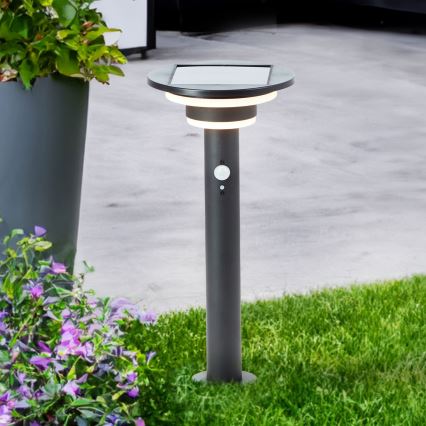 Brilliant - LED Solarna svetilka s senzorjem GARVINA LED/3W/3,7V 45 cm IP44 črna