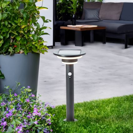 Brilliant - LED Solarna svetilka s senzorjem GARVINA LED/3W/3,7V 45 cm IP44 črna