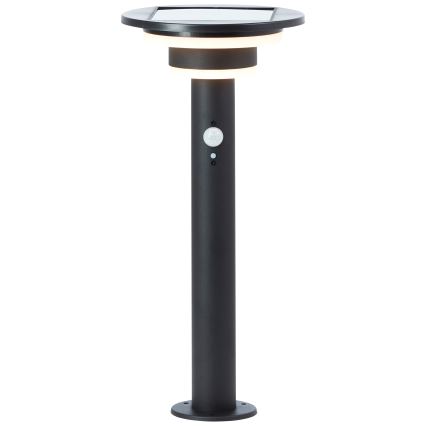 Brilliant - LED Solarna svetilka s senzorjem GARVINA LED/3W/3,7V 45 cm IP44 črna