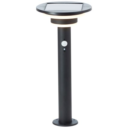Brilliant - LED Solarna svetilka s senzorjem GARVINA LED/3W/3,7V 45 cm IP44 črna