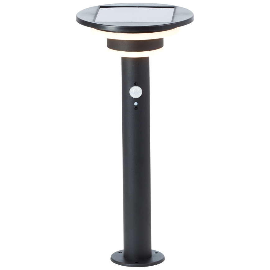 Brilliant - LED Solarna svetilka s senzorjem GARVINA LED/3W/3,7V 45 cm IP44 črna