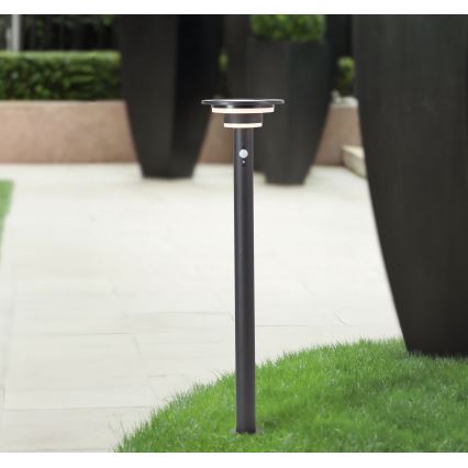 Brilliant - LED Solarna svetilka s senzorjem GARVINA LED/3W/3,7V 85 cm IP44 črna