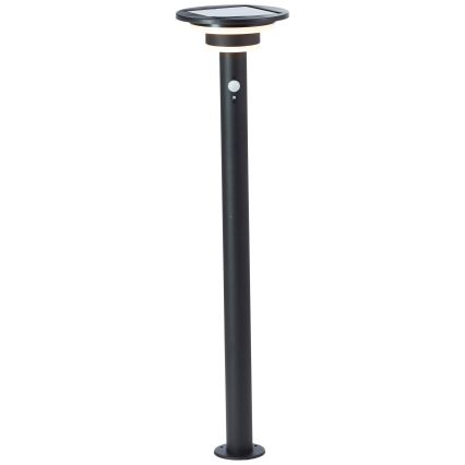 Brilliant - LED Solarna svetilka s senzorjem GARVINA LED/3W/3,7V 85 cm IP44 črna