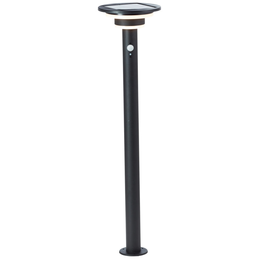 Brilliant - LED Solarna svetilka s senzorjem GARVINA LED/3W/3,7V 85 cm IP44 črna