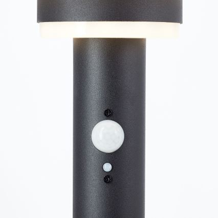 Brilliant - LED Solarna svetilka s senzorjem GARVINA LED/3W/3,7V 85 cm IP44 črna