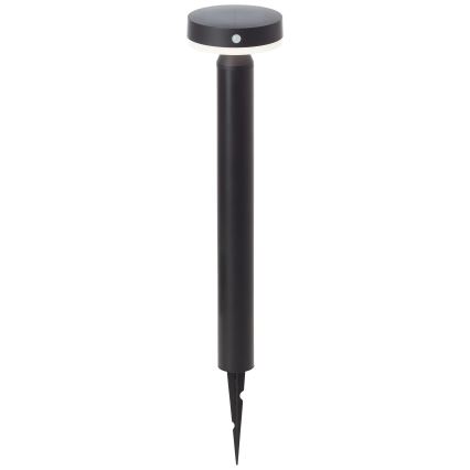 Brilliant - LED Solarna svetilka s senzorjem MAGUA LED/4W/3,7V 50,2 cm IP44 črna