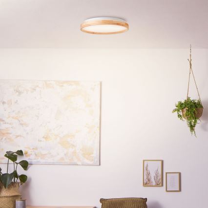 Brilliant - LED Stropna svetilka ALSON LED/26W/230V 3000/4500K pr. 39,5 cm guma fig - FSC certifikat