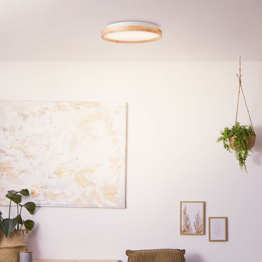 Brilliant - LED Stropna svetilka ALSON LED/26W/230V 3000/4500K pr. 39,5 cm guma fig - FSC certifikat