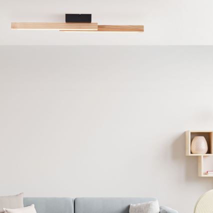 Brilliant - LED Stropna svetilka ARION LED/14W/230V bor - FSC certifikat