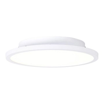 Brilliant - LED Stropna svetilka BUFFI LED/13W/230V pr. 25 cm 2700K