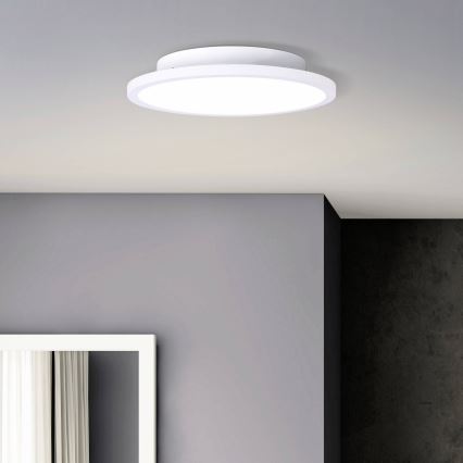 Brilliant - LED Stropna svetilka BUFFI LED/13W/230V pr. 25 cm 2700K