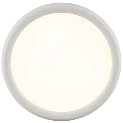 Brilliant - LED stropna svetilka CARLOZ LED/16W/230V, z možnostjo zatemnitve, premer 30 cm, bela