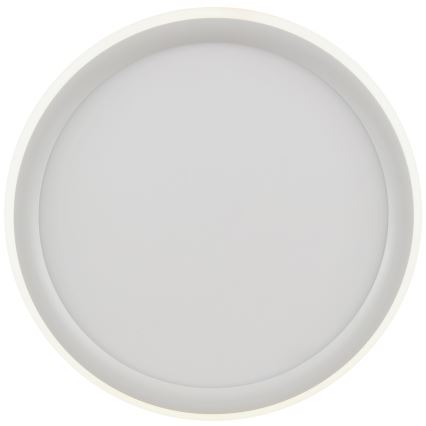Brilliant - LED stropna svetilka CARLOZ LED/16W/230V, z možnostjo zatemnitve, premer 30 cm, bela