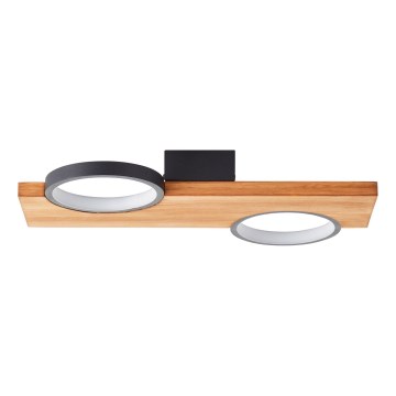 Brilliant - LED Stropna svetilka CHEESY LED/14W/230V bor - FSC certifikat