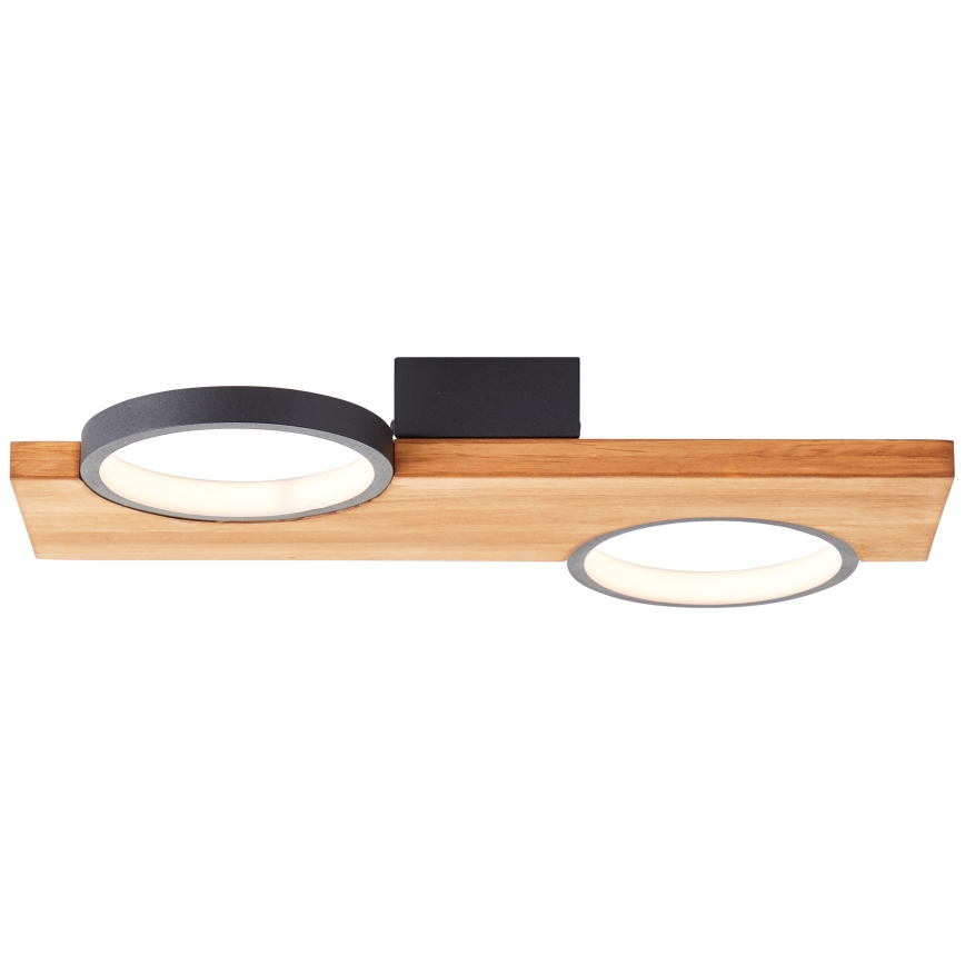 Brilliant - LED Stropna svetilka CHEESY LED/14W/230V bor - FSC certifikat