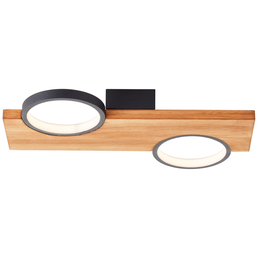 Brilliant - LED Stropna svetilka CHEESY LED/14W/230V bor - FSC certifikat