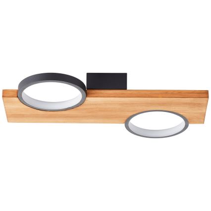 Brilliant - LED Stropna svetilka CHEESY LED/14W/230V bor - FSC certifikat