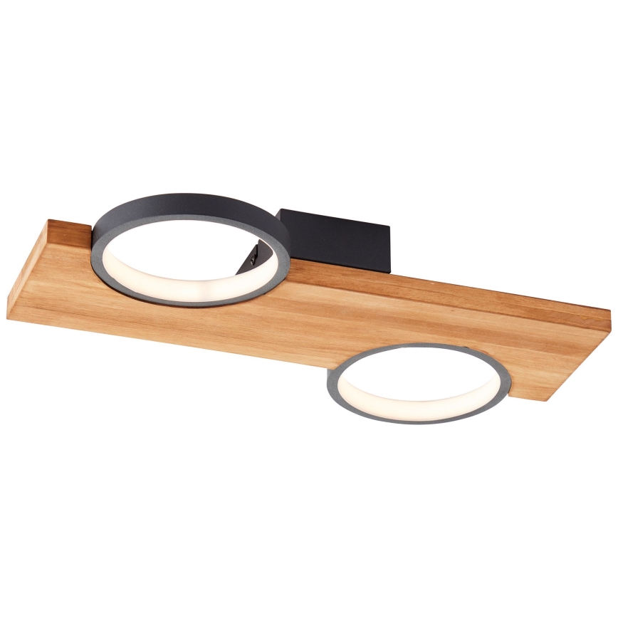 Brilliant - LED Stropna svetilka CHEESY LED/14W/230V bor - FSC certifikat