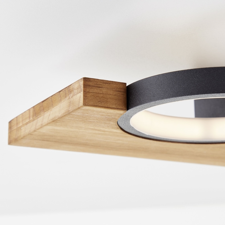 Brilliant - LED Stropna svetilka CHEESY LED/14W/230V bor - FSC certifikat