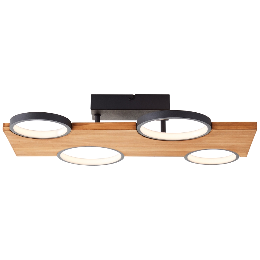 Brilliant - LED Stropna svetilka CHEESY LED/28W/230V bor - FSC certifikat