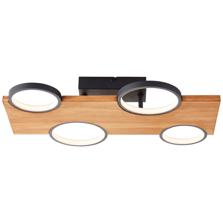 Brilliant - LED Stropna svetilka CHEESY LED/28W/230V bor - FSC certifikat