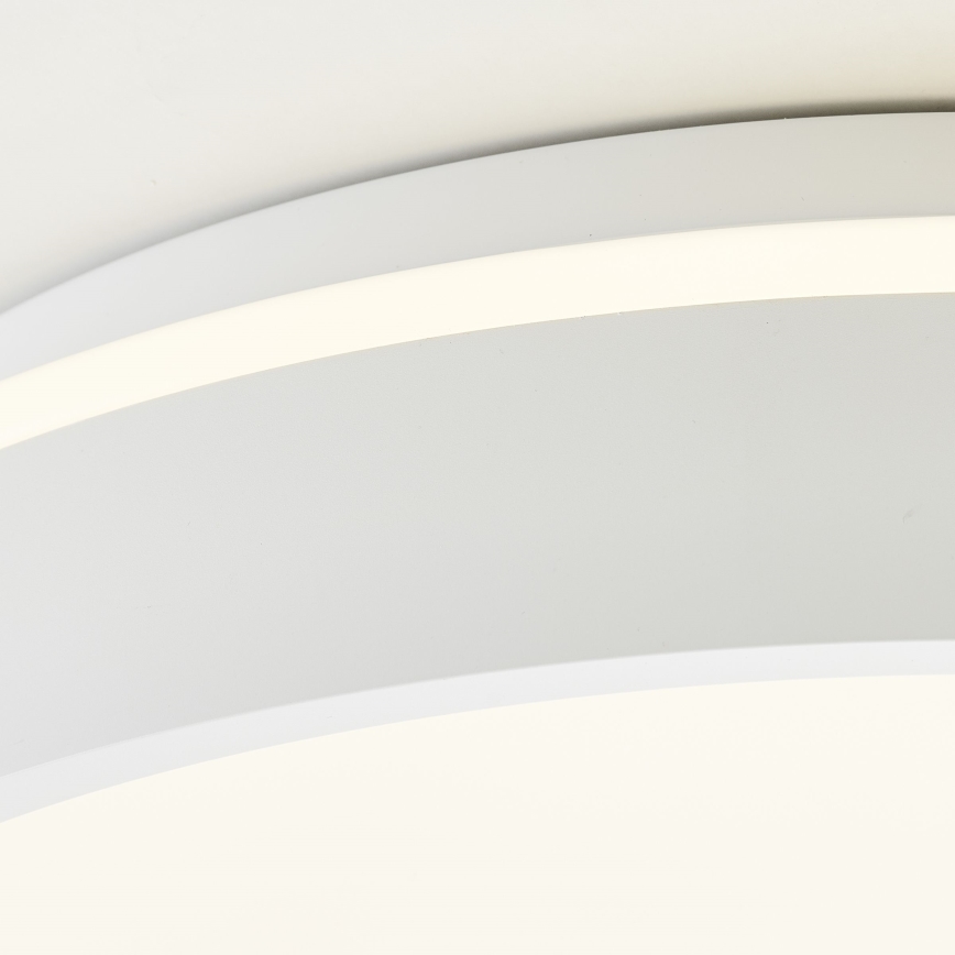Brilliant - LED Stropna svetilka KALMAR LED/26W/230V 3000K pr. 39 cm bela