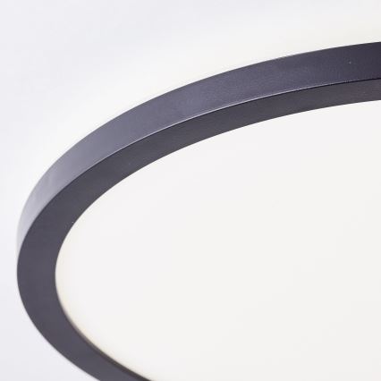 Brilliant - LED stropna svetilka MILTON LED/18W/230V pr. 29,3 cm črna