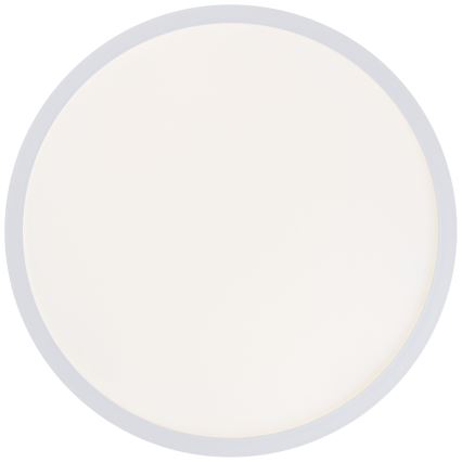 Brilliant - LED stropna svetilka MILTON LED/24W/230V Ø 42 cm bela