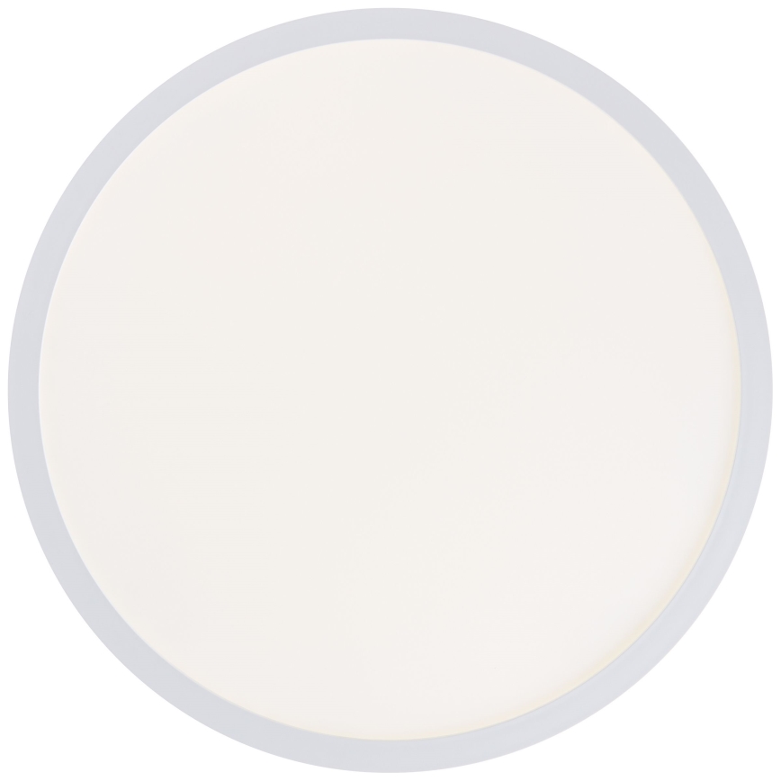 Brilliant - LED stropna svetilka MILTON LED/24W/230V Ø 42 cm bela