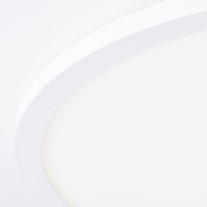 Brilliant - LED stropna svetilka MILTON LED/24W/230V Ø 42 cm bela