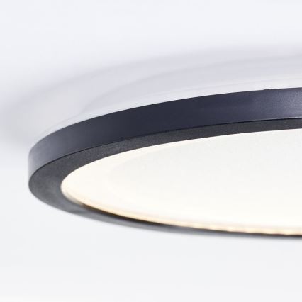 Brilliant - LED Stropna svetilka MOSAKO LED/16W/230V 3000K pr. 25 cm črna