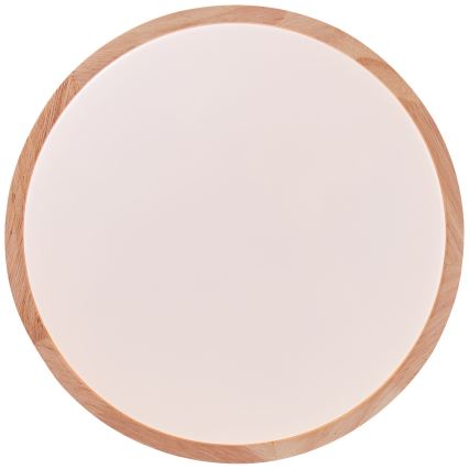 Brilliant - LED Stropna svetilka SLIMLINE LED/14W/230V 3000/4000K guma fig - FSC certifikat