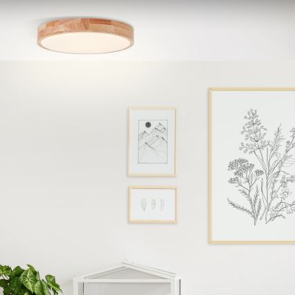 Brilliant - LED stropna svetilka SLIMLINE LED/22W/230V premer 39 cm gumovník