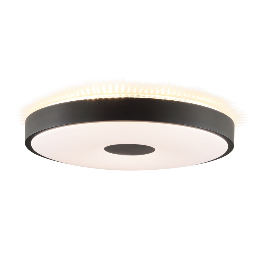 Brilliant - LED stropna svetilka TAVIS LED/24W/230V, premer 44,5 cm, črna