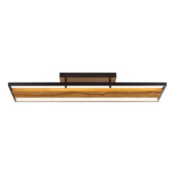 Brilliant - LED stropna svetilka z zatemnjevanjem THUNDER LED/42W/230V, iz borovine