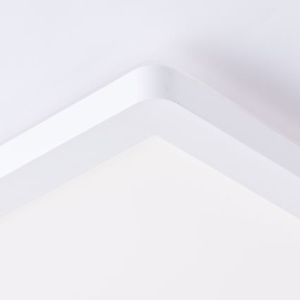 Brilliant - LED stropno svetilo MILTON LED/24W/230V 42x42 cm belo