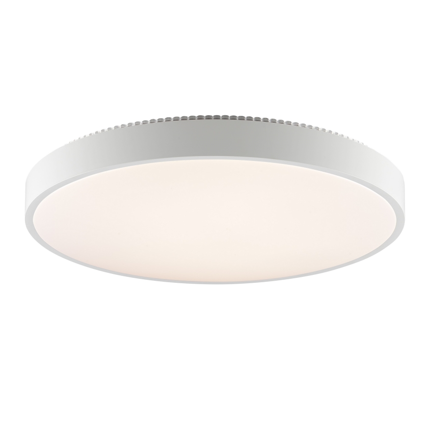 Brilliant - LED stropno svetilo SOLISTRA LED/36W/230V premer 54 cm bela