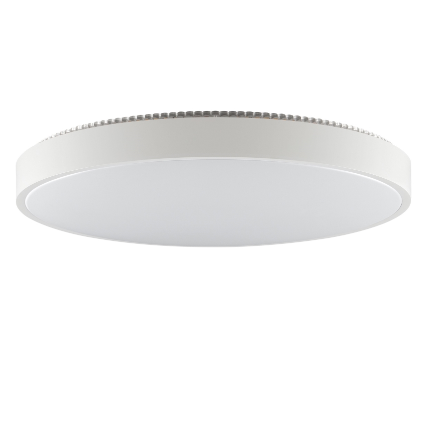 Brilliant - LED stropno svetilo SOLISTRA LED/36W/230V premer 54 cm bela