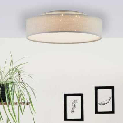 Brilliant - LED Zatemnitvena stropna svetilka BASKA LED/12W/230V pr. 38 cm 3000K