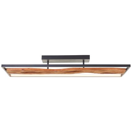 Brilliant - LED Zatemnitvena stropna svetilka CHAUMONT LED/48W/230V guma fig - FSC certifikat
