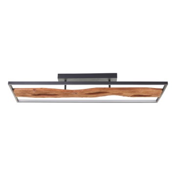 Brilliant - LED Zatemnitvena stropna svetilka CHAUMONT LED/48W/230V guma fig - FSC certifikat